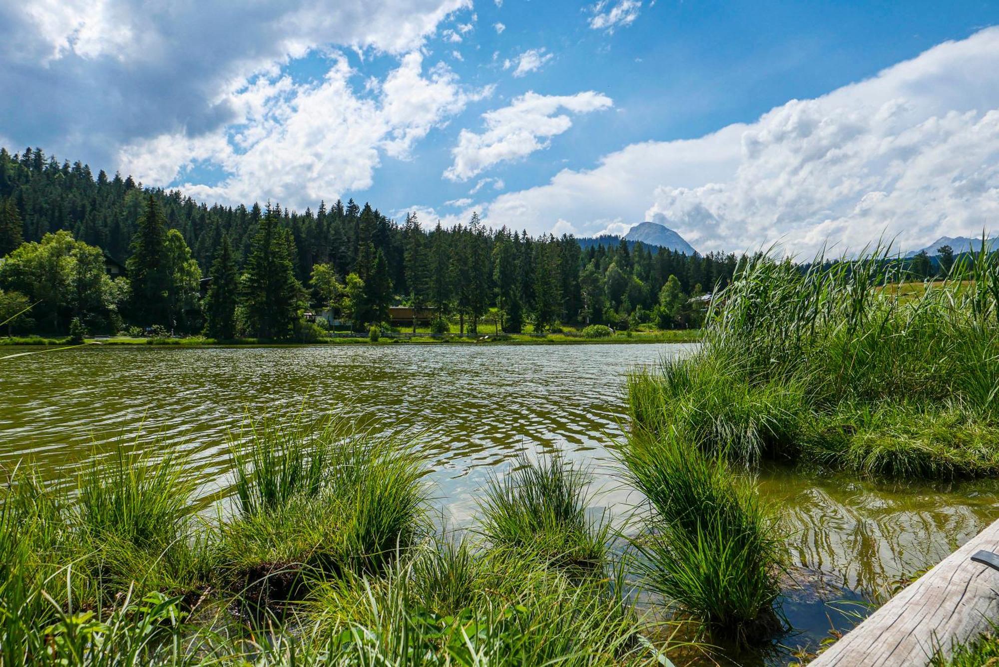 Landhaus Haid Seefeld in Tirol Exterior foto